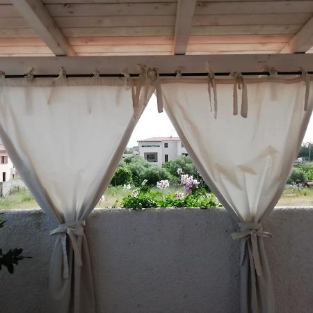 דירות אולביה Casa Molara מראה חיצוני תמונה