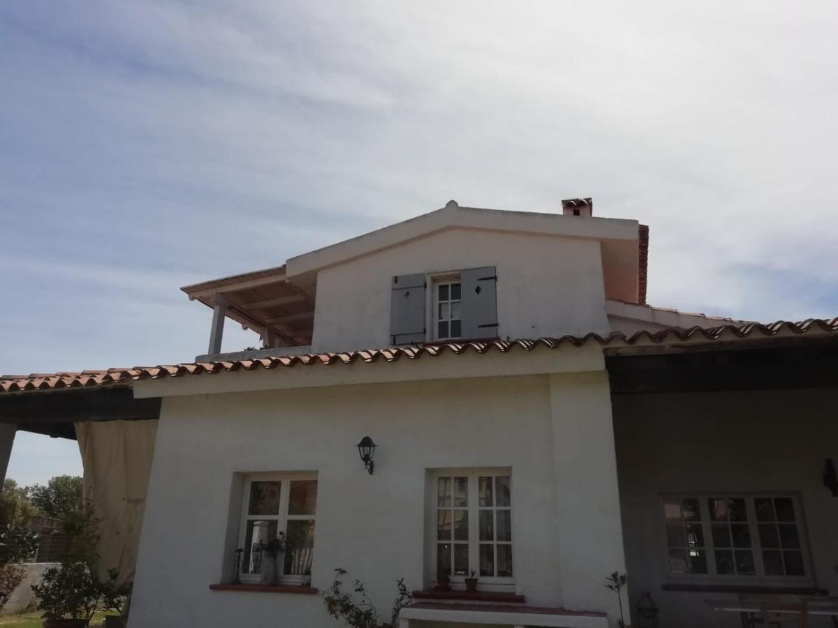 דירות אולביה Casa Molara מראה חיצוני תמונה