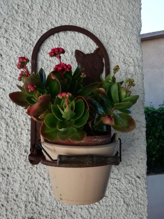 דירות אולביה Casa Molara מראה חיצוני תמונה